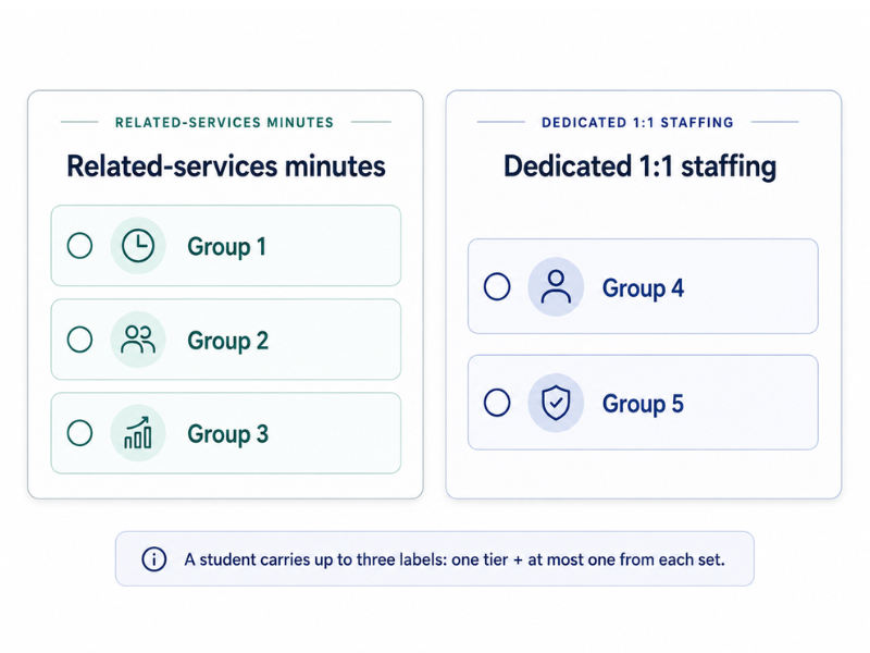 Two grouped boxes &mdash; Related-services minutes containing Groups 1–3 on the left, Dedicated 1:1 staffing containing Groups 4–5 on the right, with a note that a student carries up to three labels.