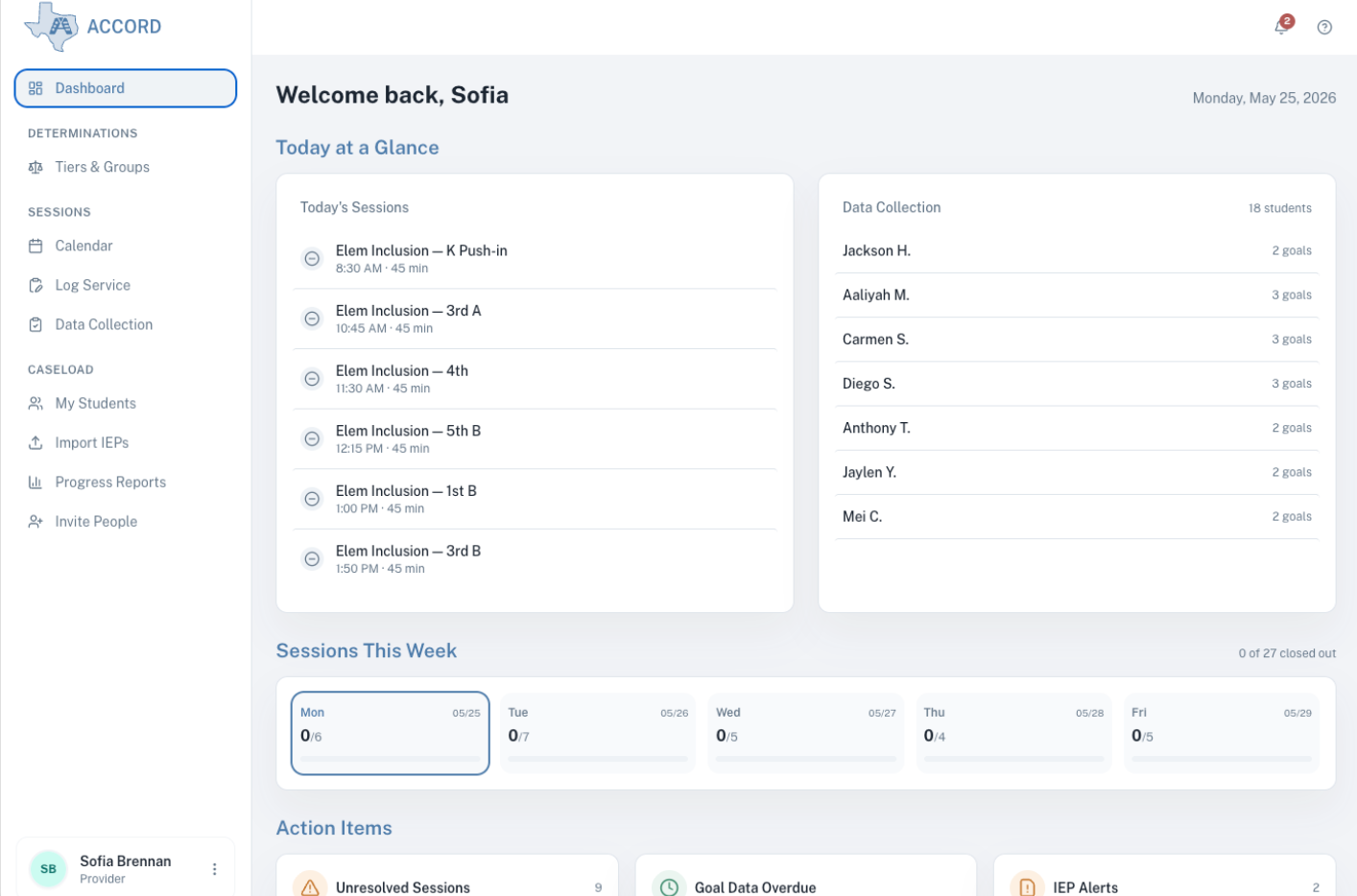 Provider dashboard, full view &mdash; Today at a Glance at the top, Sessions This Week underneath, and the Action Items panel surfacing anything still open.